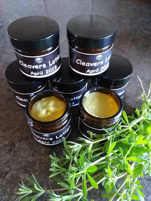 cleavers lotion 1