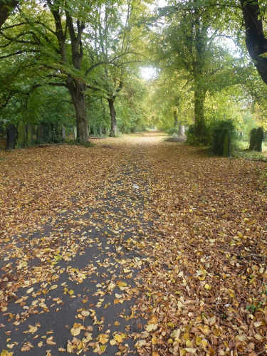 Burngreave cemetery