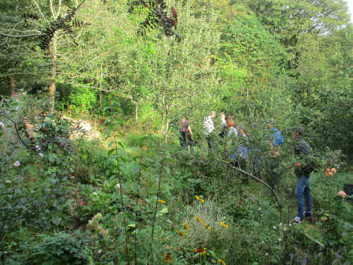 Northern School of Permaculture social event