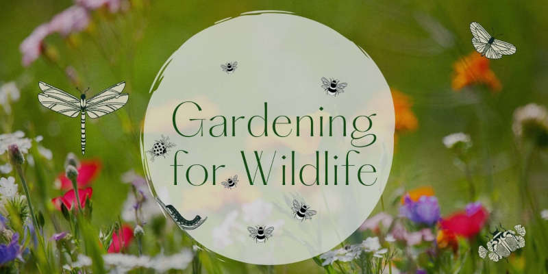 permaculture gardening for wildlife