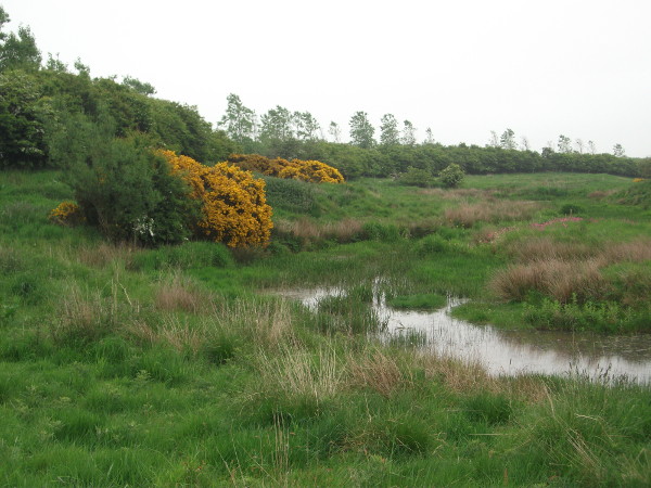 Pittarthie Farm