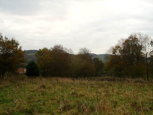 Whalley Forest Garden site, November 2010