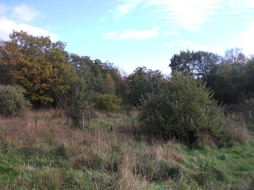 Whalley Forest Garden site, October 2018