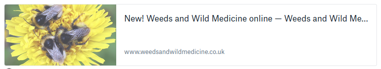 Weeds and wild medicine