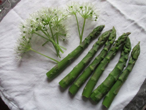 ramson flowers and asparagus