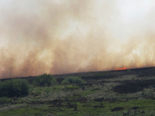 The risk of moorland fires