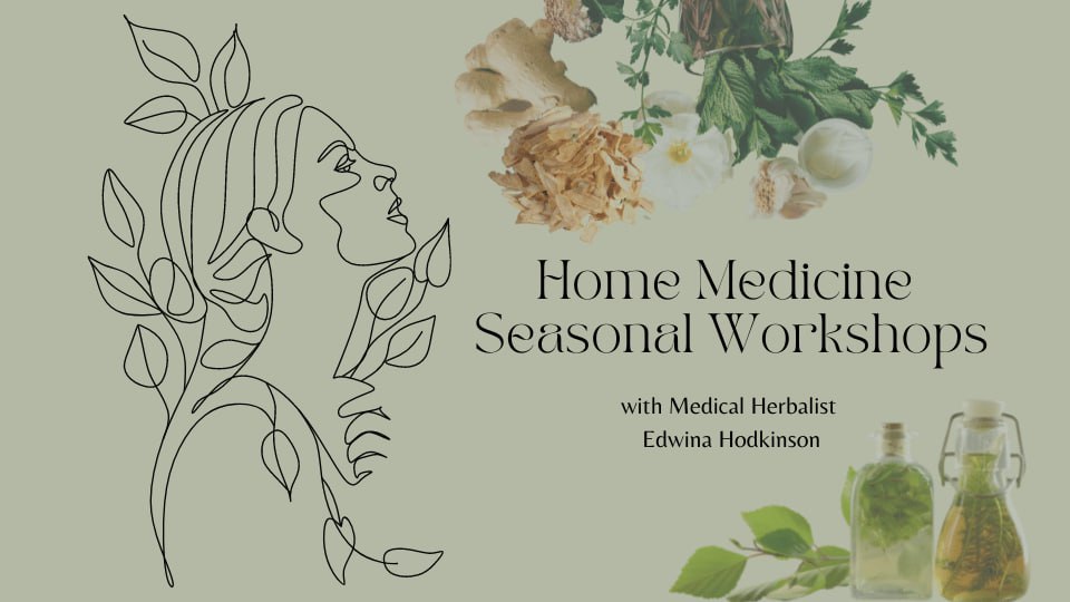 Herbal medicine workshops with Edwina Hodkinson