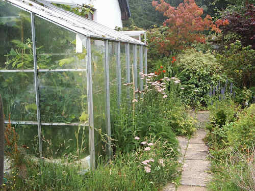 greenhouse