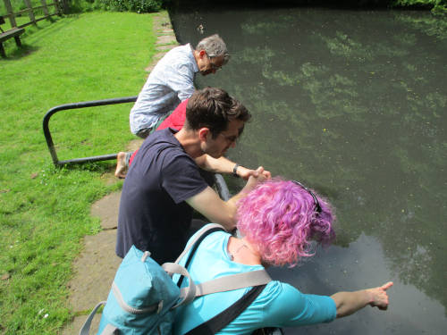 Northern School Permaculture Design Course